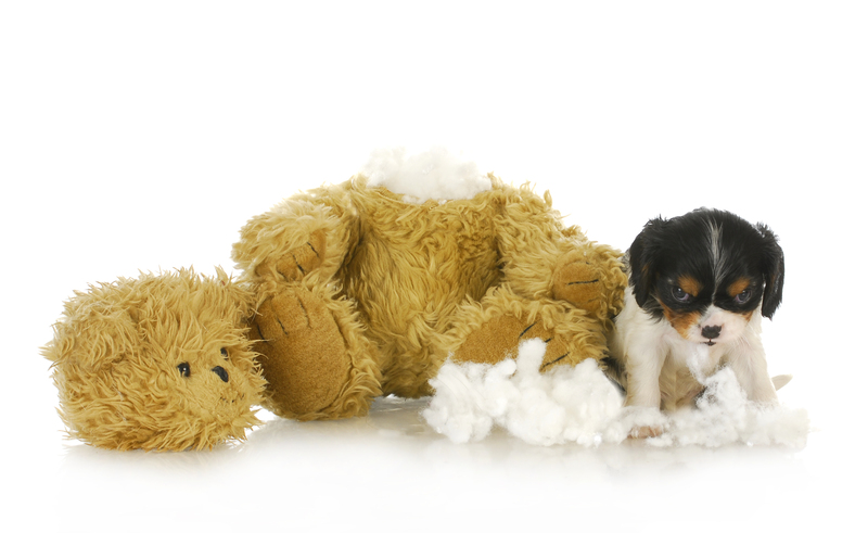 Hoarder Clean Up Done Right: Safe, Discreet, and Thorough